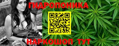 сатива Бузулук