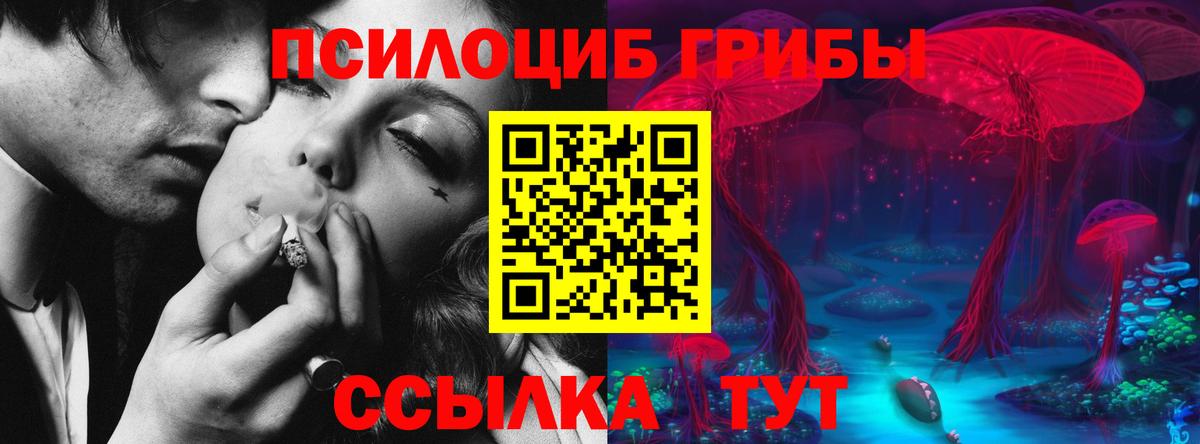 Ростов Великий  Псилоцибиновые грибы мухоморы  Вход с VPN 