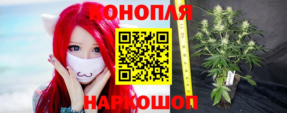 Бошки Шишки OG Kush Ростов Великий